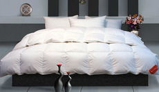 最新 富麗真金家紡產(chǎn)品怎么樣 參數(shù) 圖片大全 美樂樂家居網(wǎng)