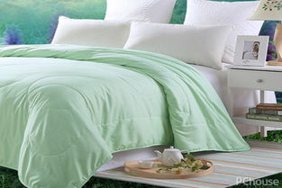 蠶絲被的清洗與選購指南 知名品牌與家紡知識