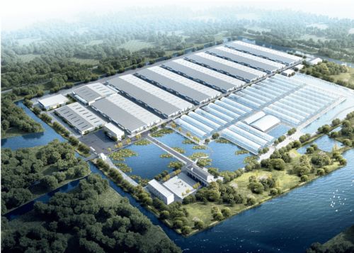 浙江千噸級南美白對蝦工廠化養殖場 融合兩大全球先進技術，引領產業新篇章